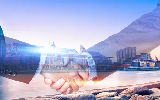 Непревзойденный профессионализм